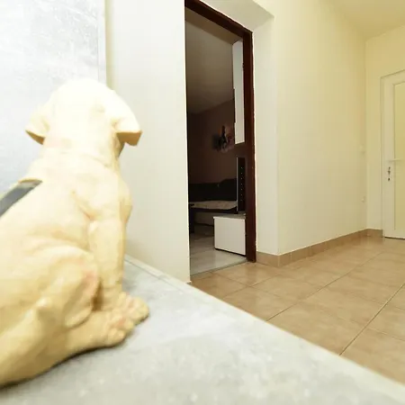 Apartman Lana Maslenica * יסניצה